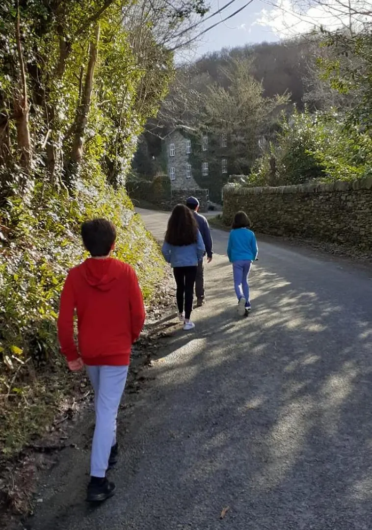 Five Ferns House Bed & Breakfast Westport